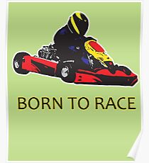 Born to Race - Kart Racing Poster