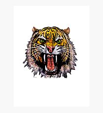 Tekken - Heihachi Tiger Photographic Print