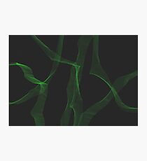 Green Photographic Print