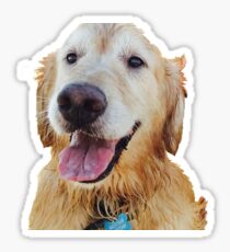 Golden Retriever: Stickers | Redbubble