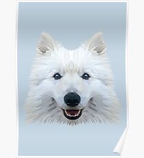 Samoyed low poly. Poster