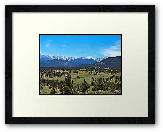 frame rocky mountain