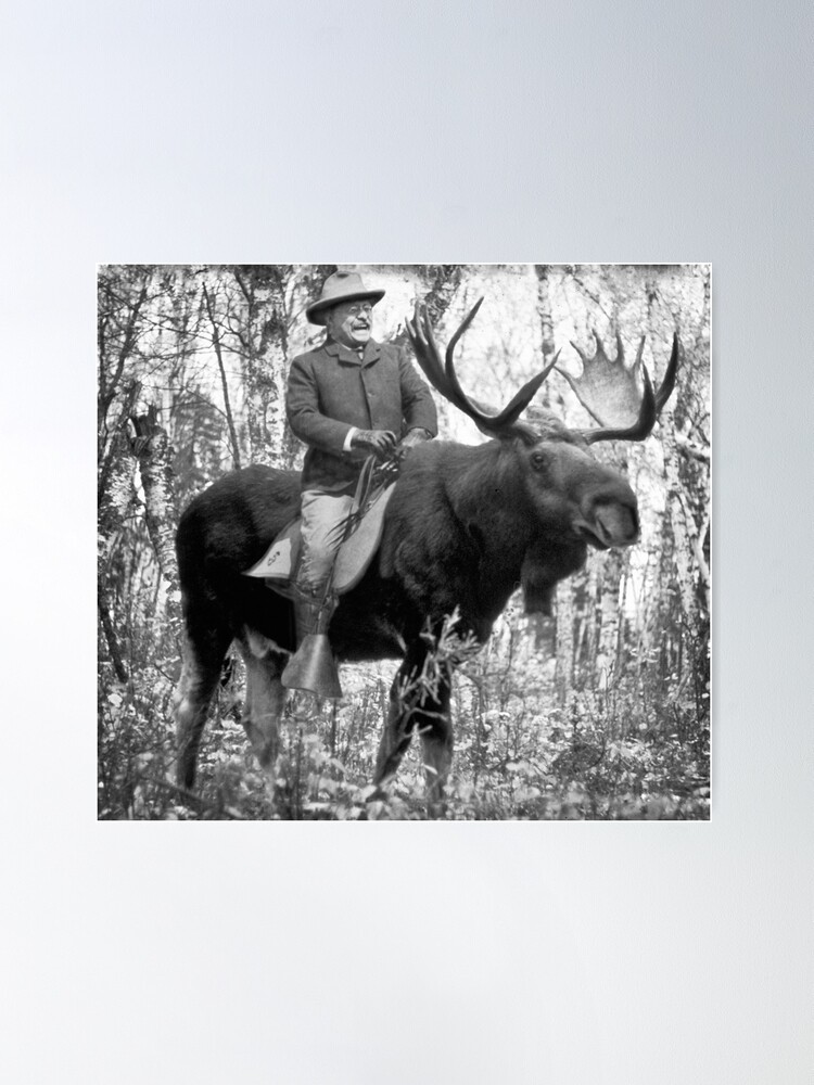 roosevelt riding a moose