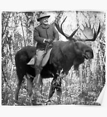 Teddy Roosevelt Riding A Bull Moose Poster