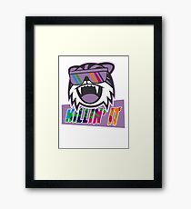 Cool Cat Framed Print