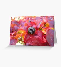 Dry Greeting Card