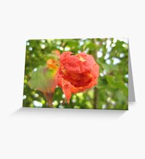 Juicy Fruit Greeting Card