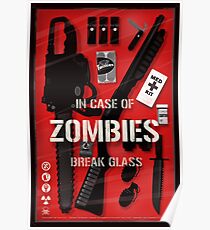 Zombie Emergency Kit Poster