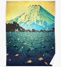 Waddling through Kennijo Lake Poster