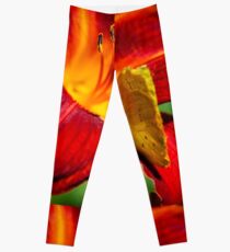 Cloudless Sulphur Phoebis Sennae Leggings