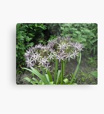 constellation Metal Print