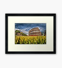 The Colosseum Framed Print