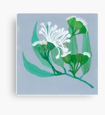 Eucalyptus Canvas Print