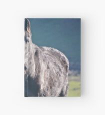Hallo Notizbuch