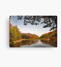 Autumn Trees . Canvas Print