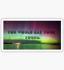 Northern Lights Sticker