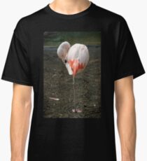 Chilean Flamingo Classic T-Shirt