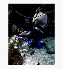 Dive Photographic Print