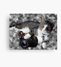 (CAT) "SAY CHEESE" (MOUSE)"DID SOMEONE SAY CHEESE?" CAT & MOUSE PHOTOGRAPHER - PICTURE & CARD Canvas Print