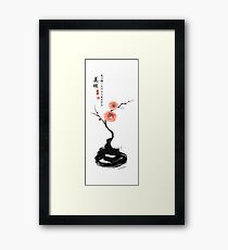 Beauty Comes From?.... Framed Print