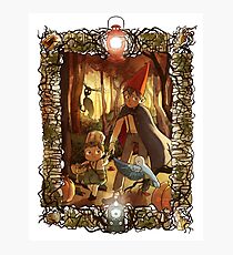 Over the Garden Wall Photographic Print