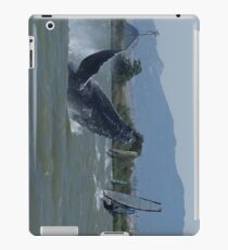 Humpback Whale Breaching by Windsurfers iPad-Hülle & Klebefolie
