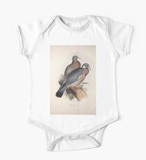 John Gould The Birds of Europe 1837 V1 V5 243 Wood Pigeon One Piece - Short Sleeve