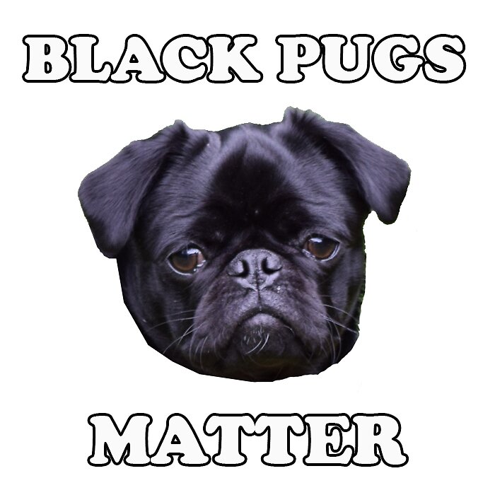 pug sticker quot quot black pugs matter quot sticker quot stickers by barneythepug redbubble pug sticker quot quot black pugs matter quot sticker quot stickers by barneythepug redbubble