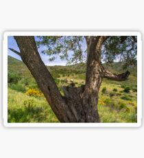 Landscape Spain / Espagne Sticker