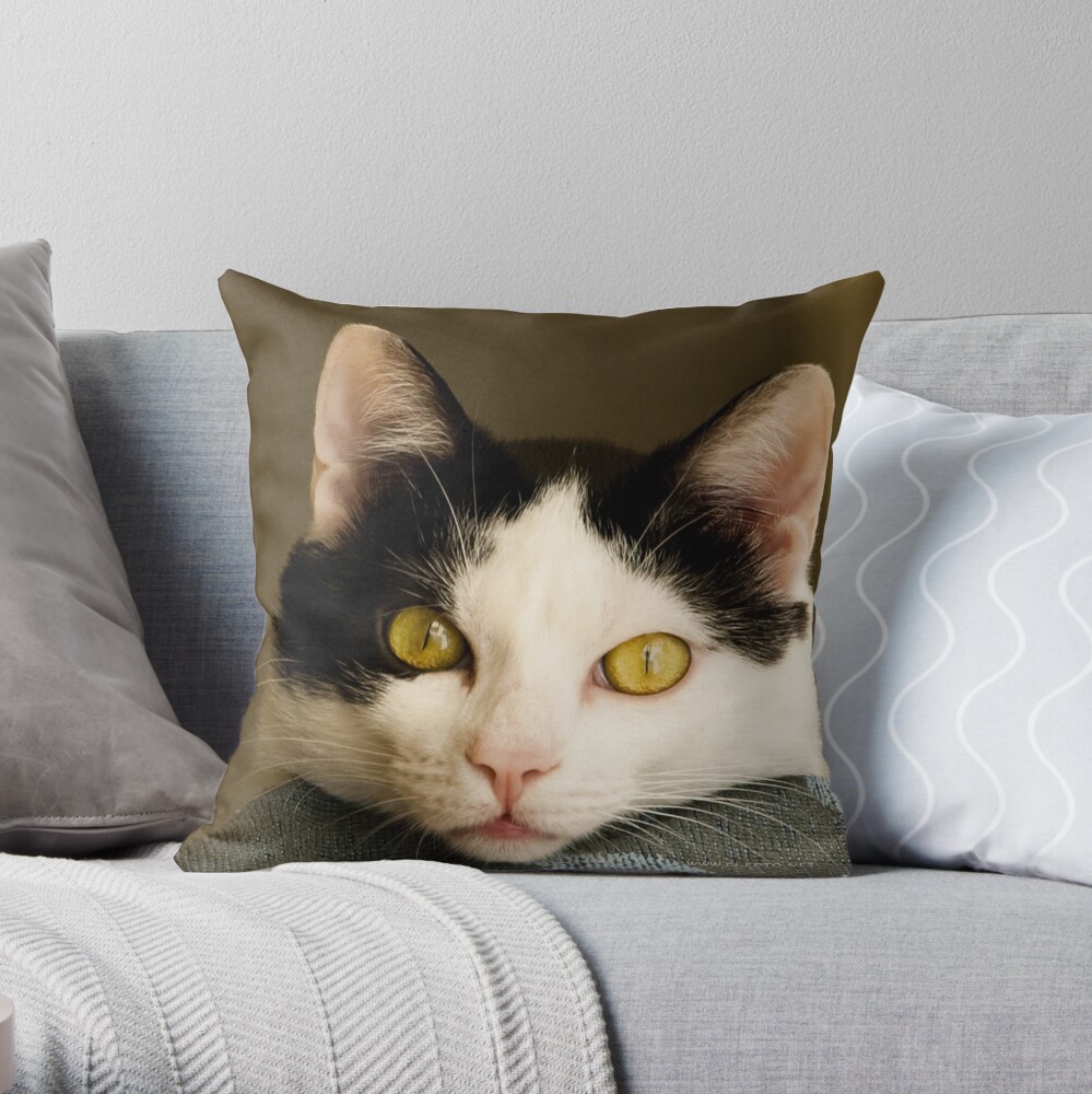 Cat eyes Throw Pillow