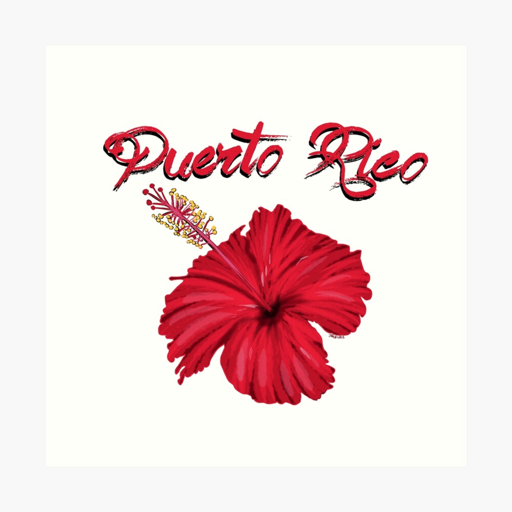 "Puerto Rico flower" Art Print by Elnitrozo3 Redbubble