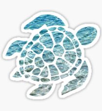 Sea Turtle Sticker