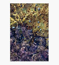 Maroubra Photographic Print