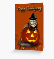 Thanksgiving Pilgrim Ferret Greeting Card