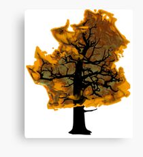 fire Canvas Print