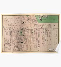 Póster Mapa de Flatbush 1873