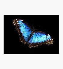 Untitled Photographic Print