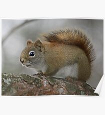 Intruder Alert! Poster