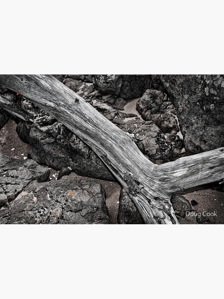 Driftwood by DougCook