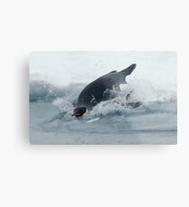 Diving Emperor Penguin Metal Print