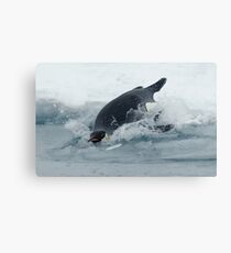 Diving Emperor Penguin Canvas Print