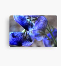 Pedals Metal Print