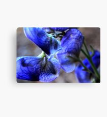 Pedals Canvas Print