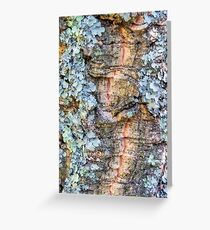 Lichen Greeting Card