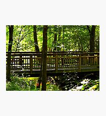 The Quiet Bridge Photographic Print