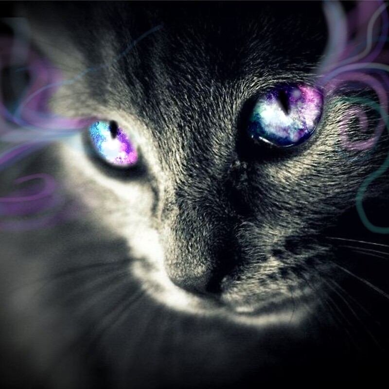 "Cat eyes galaxy" by Blueskip Redbubble