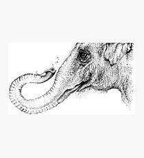 An elephant's faithful 100% by Inkspot Photographic Print