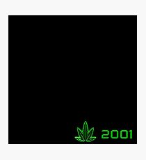 The Chronic Photographic Print