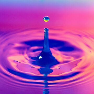 Wonderful Blue Purple and Pink Colors. Incredible Water Droplets