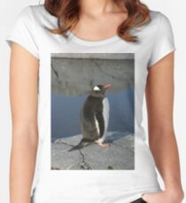 Gentoo Penguin Women's Fitted Scoop T-Shirt